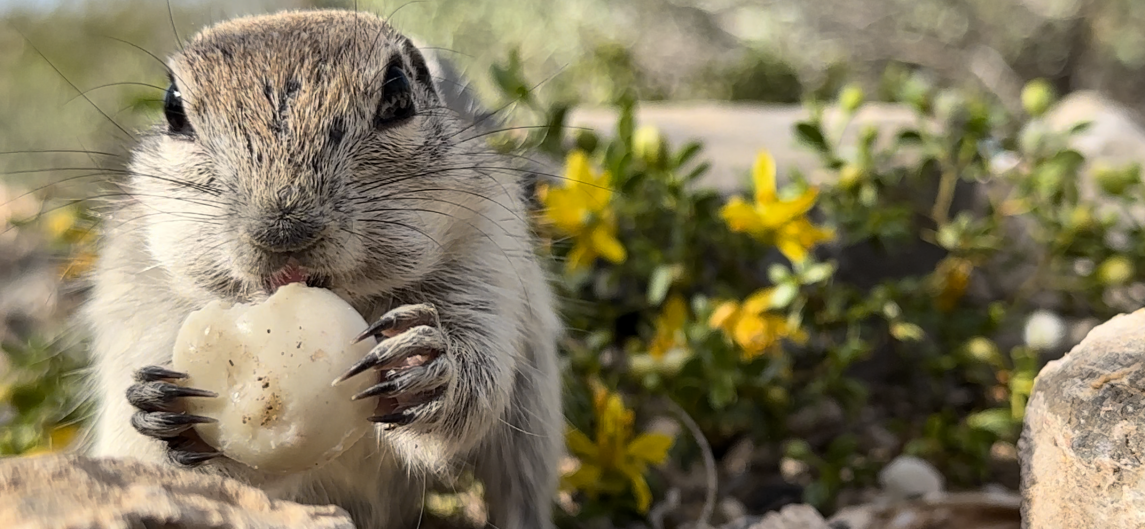 Click image for larger version

Name:	IMG_0883.png
Views:	37
Size:	1.03 MB
ID:	30805