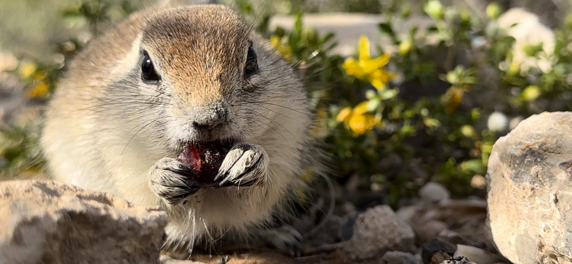 Click image for larger version

Name:	IMG_0882.png
Views:	35
Size:	1.02 MB
ID:	30806