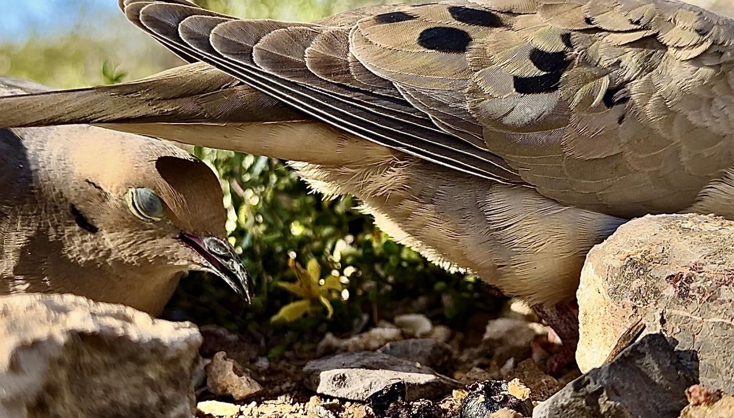 Click image for larger version

Name:	IMG_0874.jpeg
Views:	34
Size:	261.7 KB
ID:	30809