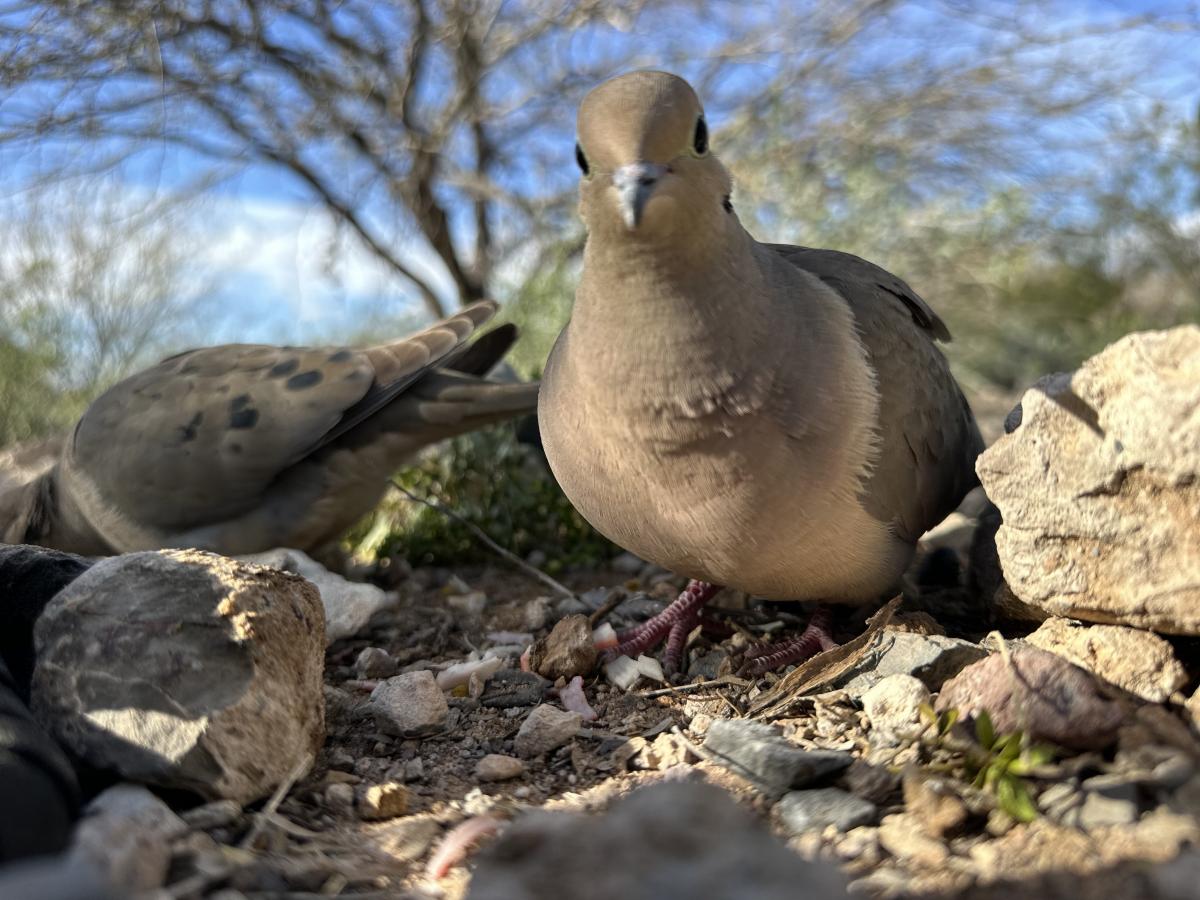 Click image for larger version

Name:	IMG_0623.jpeg
Views:	39
Size:	145.2 KB
ID:	30812