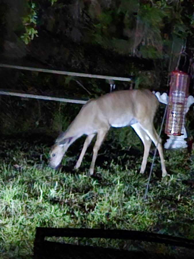 Click image for larger version

Name:	20240418_204845.jpg
Views:	64
Size:	82.9 KB
ID:	30996