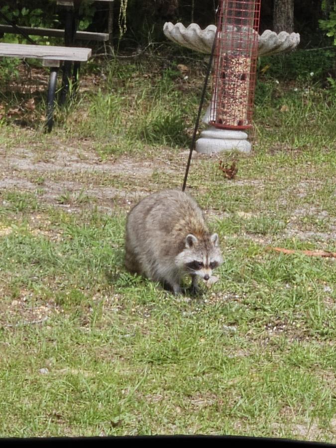 Click image for larger version

Name:	20240418_154327.jpg
Views:	66
Size:	146.2 KB
ID:	30998