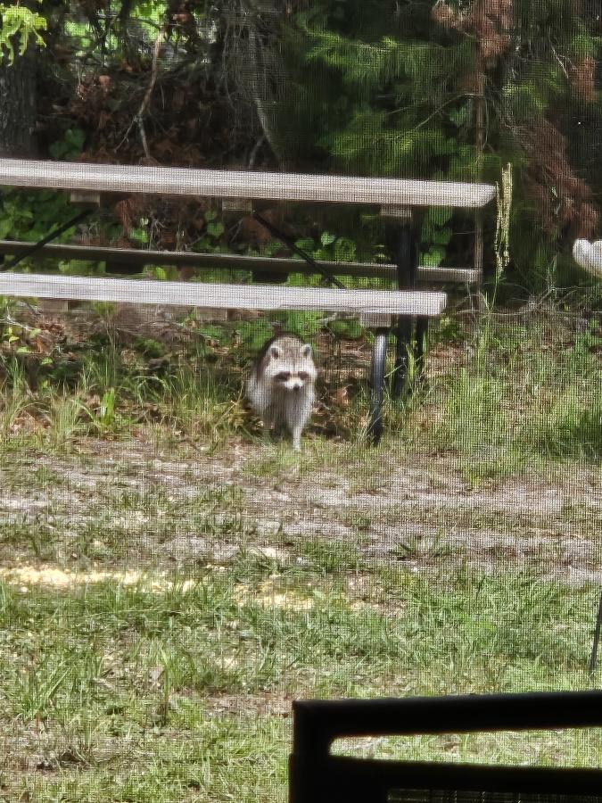 Click image for larger version

Name:	20240418_154250.jpg
Views:	63
Size:	166.7 KB
ID:	30999