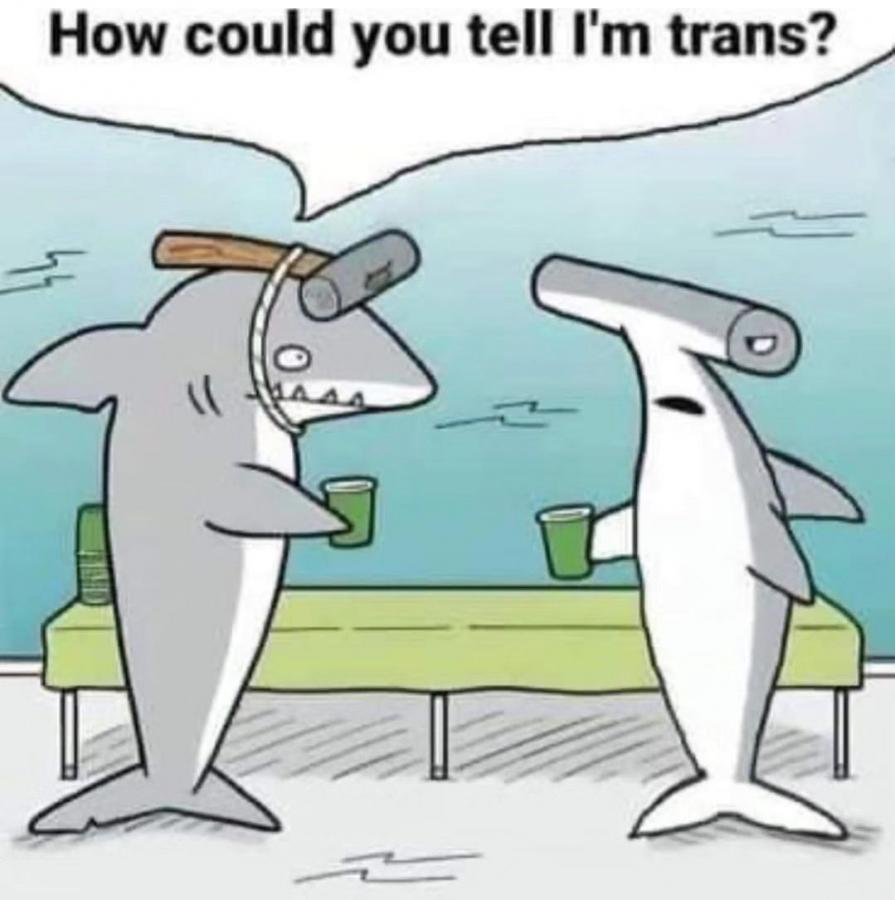 Click image for larger version

Name:	Screenshot_20240417_073443_Instagram.jpg
Views:	60
Size:	64.3 KB
ID:	31001