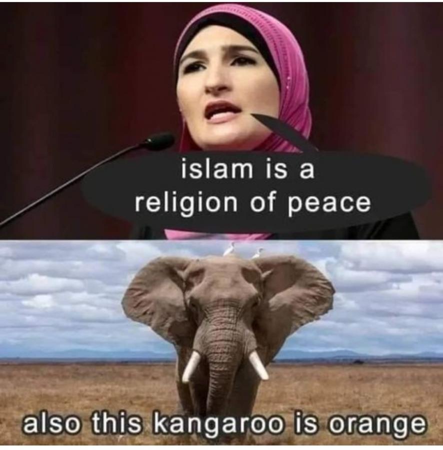 Click image for larger version

Name:	Resized_tempFileForShare_20240420-115702_102028999137067_1713628638614.jpeg
Views:	60
Size:	69.2 KB
ID:	31017