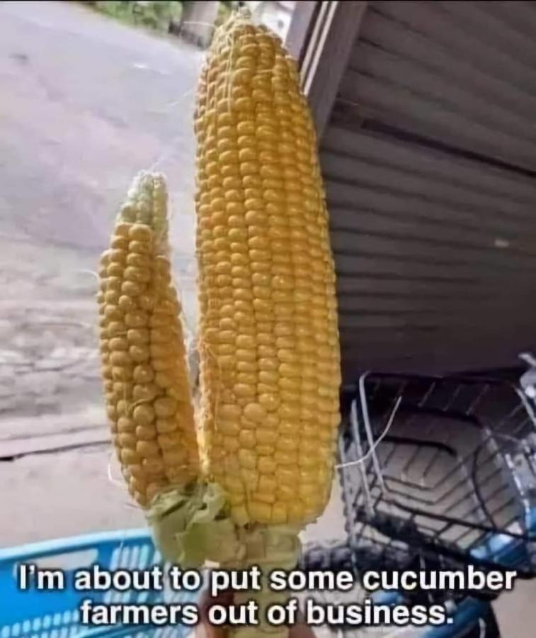 Click image for larger version

Name:	facebook_1714075223112_7189352564602778406.jpeg
Views:	66
Size:	71.0 KB
ID:	31057