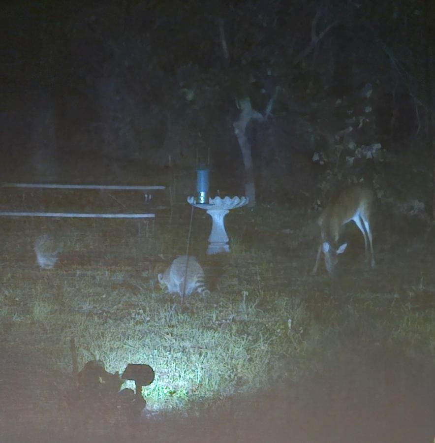 Click image for larger version

Name:	20240511_024657.jpg
Views:	44
Size:	59.7 KB
ID:	31101