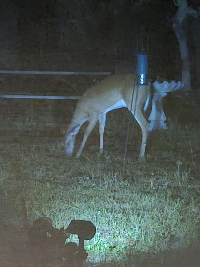 Click image for larger version

Name:	20240511_025157.jpg
Views:	44
Size:	66.4 KB
ID:	31100