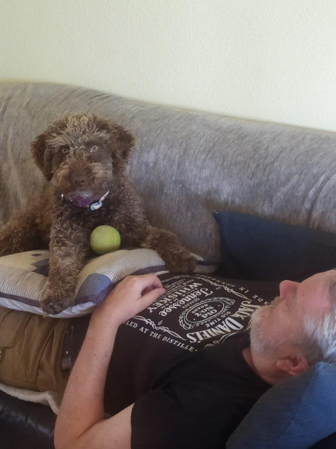 Click image for larger version  Name:	playnow.jpeg Views:	0 Size:	63.8 KB ID:	32841