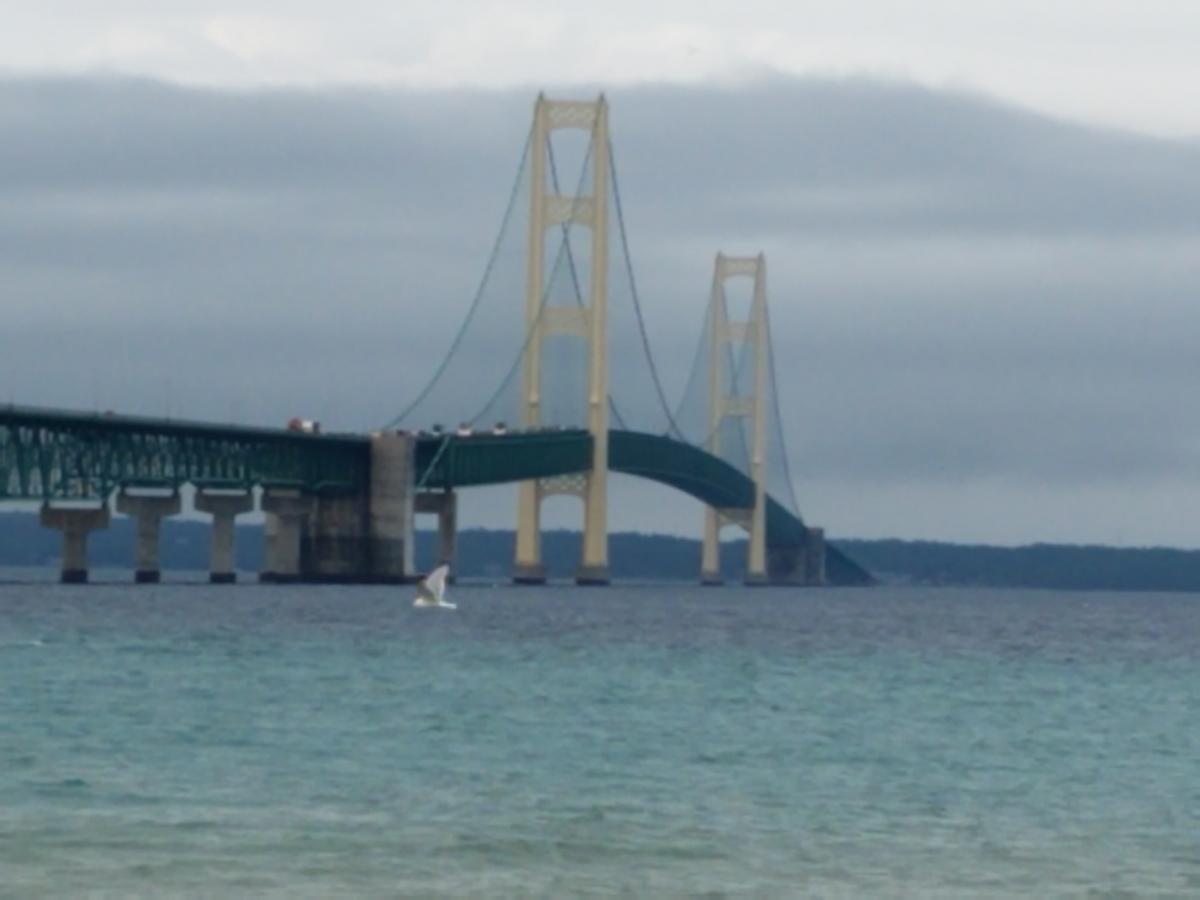 Click image for larger version

Name:	20240605_181402.jpg
Views:	69
Size:	53.8 KB
ID:	31243