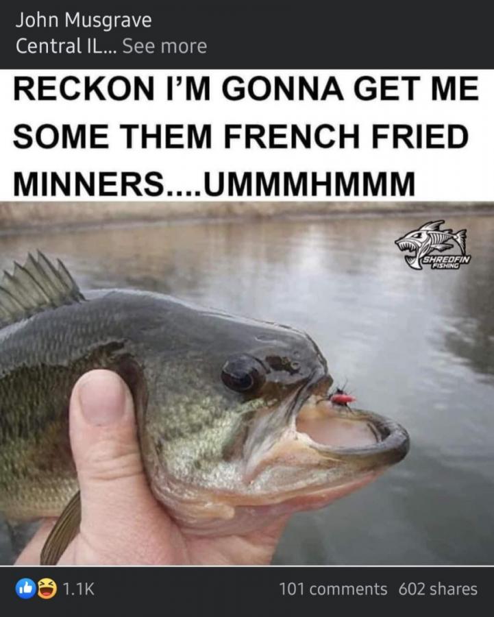 Click image for larger version

Name:	IMG_5263.jpeg
Views:	61
Size:	71.3 KB
ID:	31485