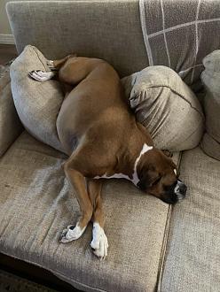 Click image for larger version

Name:	IMG_1404.jpeg
Views:	133
Size:	112.7 KB
ID:	31573