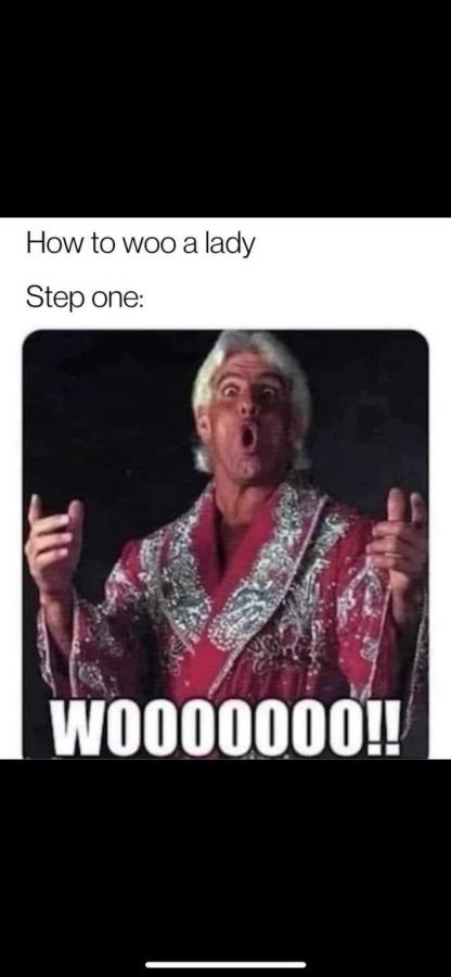 Click image for larger version

Name:	IMG_7451.jpeg
Views:	45
Size:	31.4 KB
ID:	31853