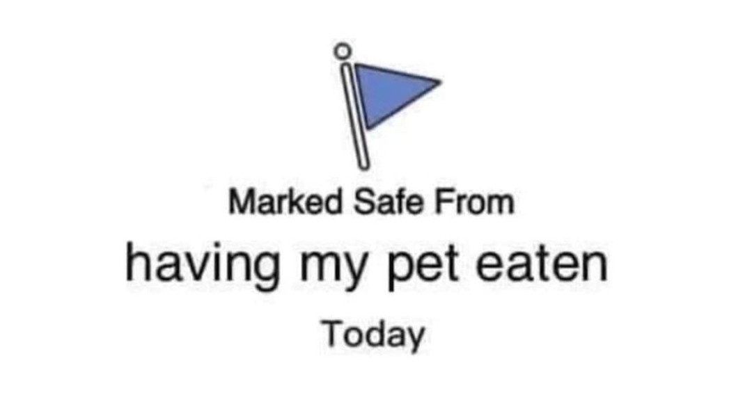 Click image for larger version

Name:	Screenshot_20241007_084109_Chrome.jpg
Views:	81
Size:	33.3 KB
ID:	31969