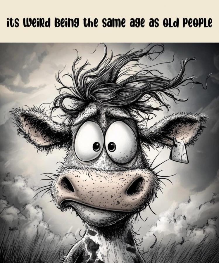 Click image for larger version

Name:	FB_IMG_1729562093506.jpg
Views:	39
Size:	123.2 KB
ID:	32041