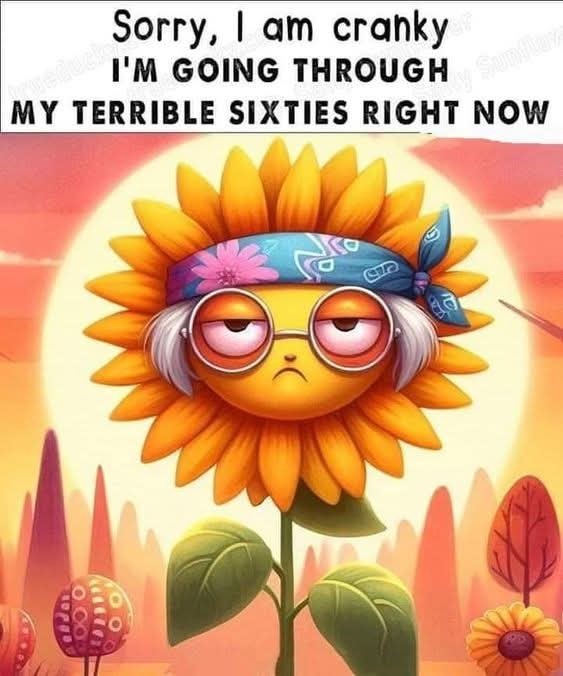 Click image for larger version

Name:	FB_IMG_1736523352254.jpg
Views:	23
Size:	74.3 KB
ID:	32308