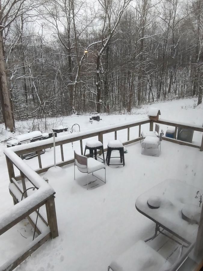 Click image for larger version

Name:	IMG_20250110_155550493_HDR.jpg
Views:	28
Size:	120.2 KB
ID:	32315