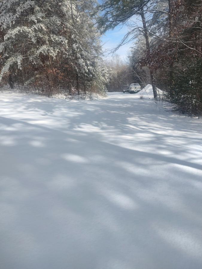 Click image for larger version

Name:	IMG_20250111_111733971_HDR.jpg
Views:	51
Size:	92.9 KB
ID:	32325