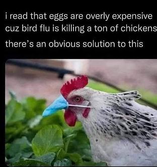 Click image for larger version

Name:	IMG_2791.jpeg
Views:	173
Size:	52.4 KB
ID:	32372