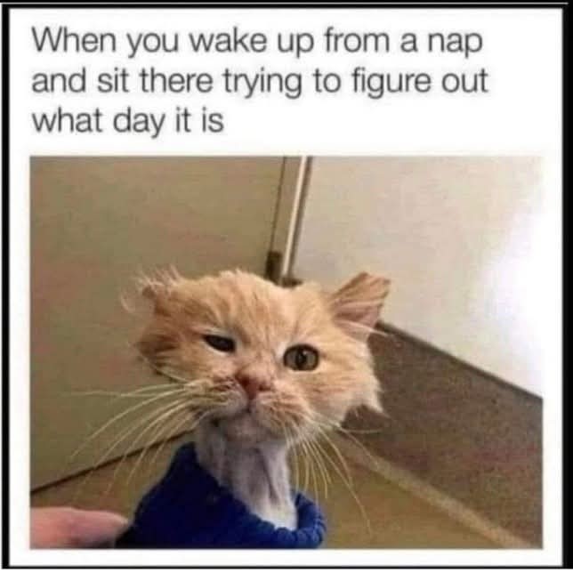 Click image for larger version

Name:	FB_IMG_1739928667810.jpg
Views:	64
Size:	50.3 KB
ID:	32420