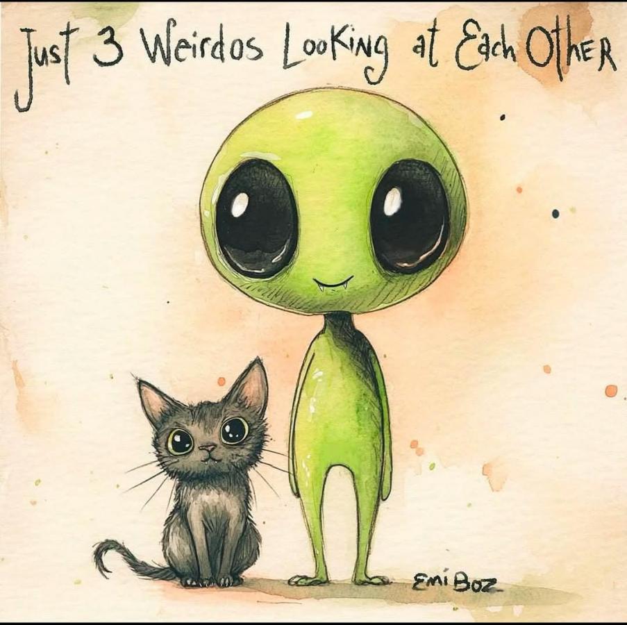 Click image for larger version

Name:	FB_IMG_1739456929683.jpg
Views:	69
Size:	91.1 KB
ID:	32422