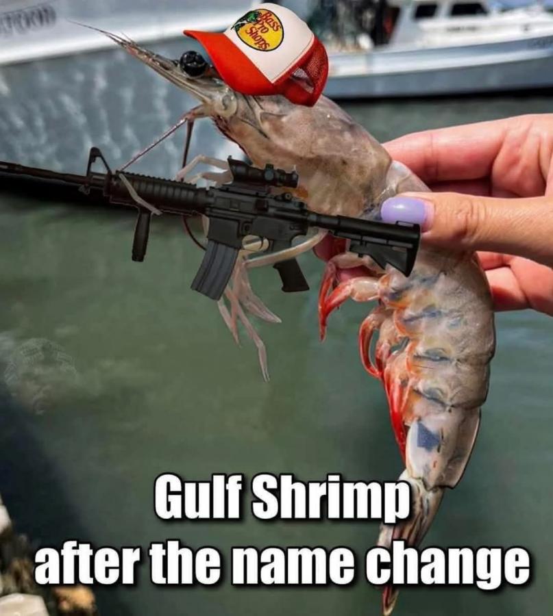 Click image for larger version

Name:	FB_IMG_1740703724438.jpg
Views:	94
Size:	78.7 KB
ID:	32452