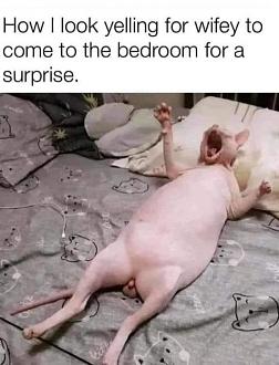 Click image for larger version

Name:	image0000.jpeg
Views:	77
Size:	65.3 KB
ID:	32578