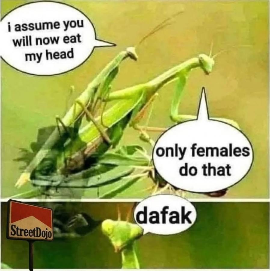 Click image for larger version

Name:	Screenshot_20250613_234848_Facebook.jpg
Views:	49
Size:	78.1 KB
ID:	32678