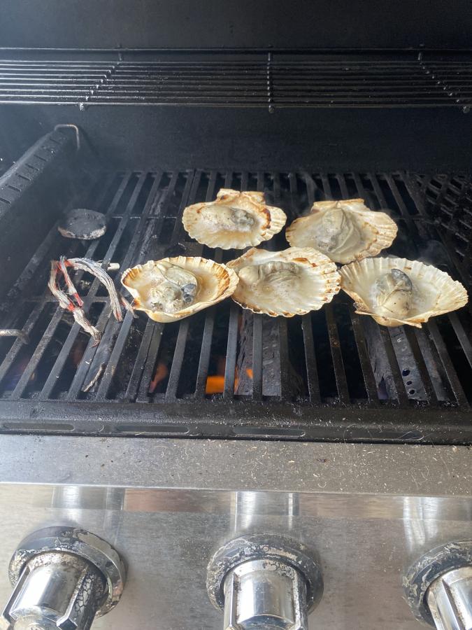 Click image for larger version

Name:	IMG_1553.jpeg
Views:	20
Size:	97.7 KB
ID:	32809