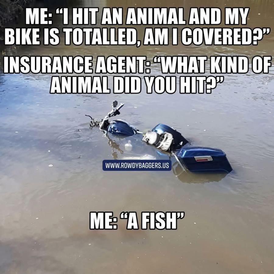 Click image for larger version

Name:	FB_IMG_1779320642903.jpg
Views:	8
Size:	102.6 KB
ID:	32918
